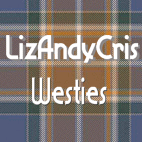 WWWLizAndyCris
