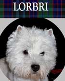 WWWLorbri