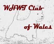 WWWWelshClub1
