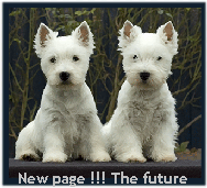 FutureTwo