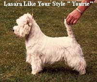 Lasara Like Your Style " Yourie"
